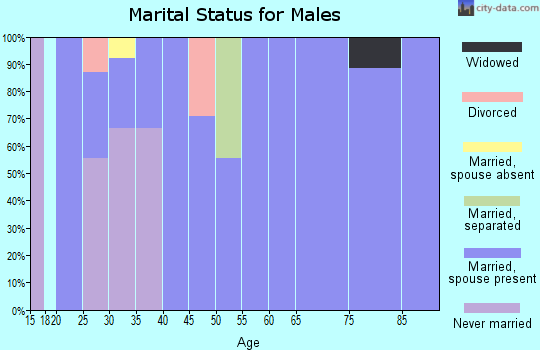 Zip code 71961 marital status for males