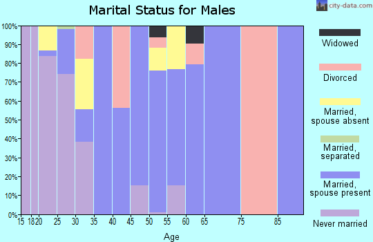 Zip code 71973 marital status for males