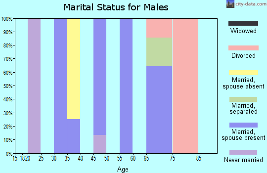 Zip code 72005 marital status for males