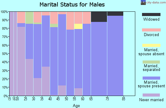 Zip code 72007 marital status for males
