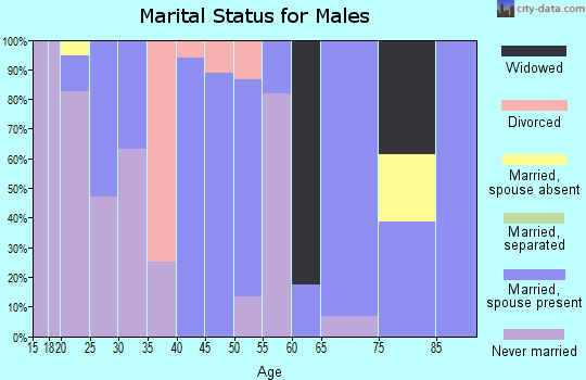 Zip code 72025 marital status for males