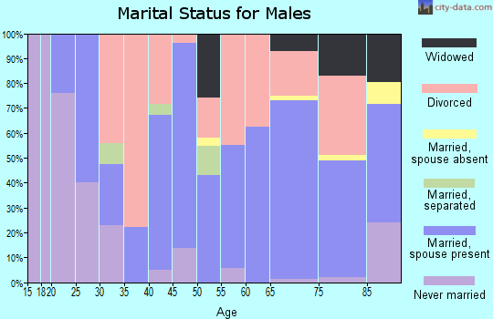Zip code 72040 marital status for males