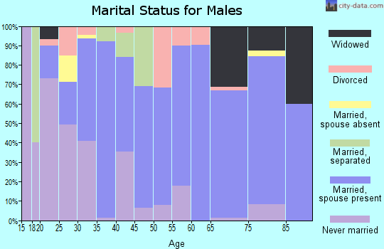 Zip code 72042 marital status for males