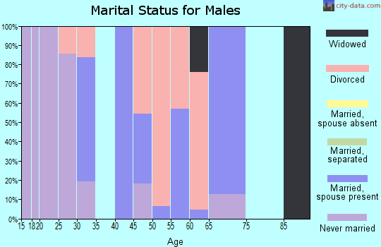 Zip code 72060 marital status for males