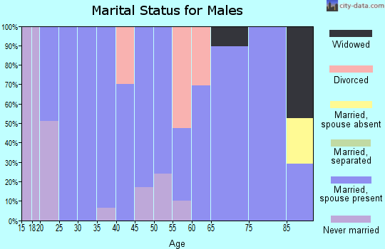 Zip code 72063 marital status for males