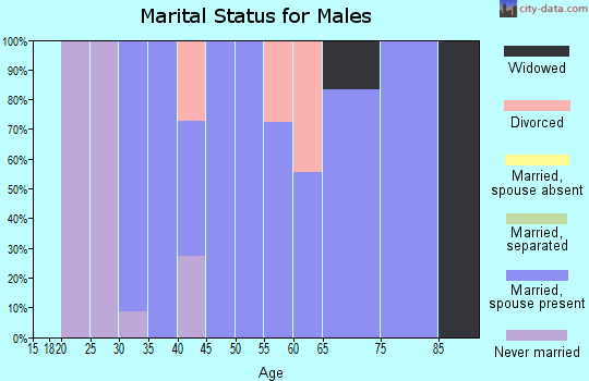 Zip code 72080 marital status for males