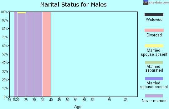 Zip code 72099 marital status for males