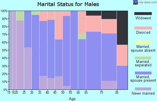 Zip code 72101 marital status for males