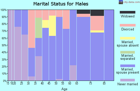 Zip code 72102 marital status for males