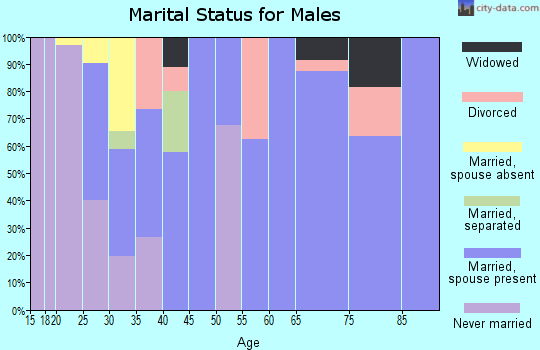 Zip code 72137 marital status for males