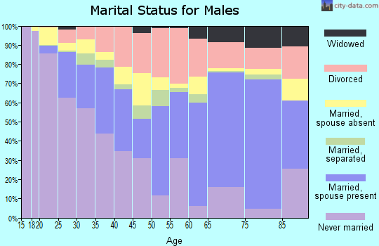 Zip code 72204 marital status for males