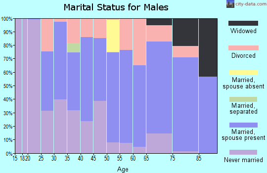 Zip code 72207 marital status for males
