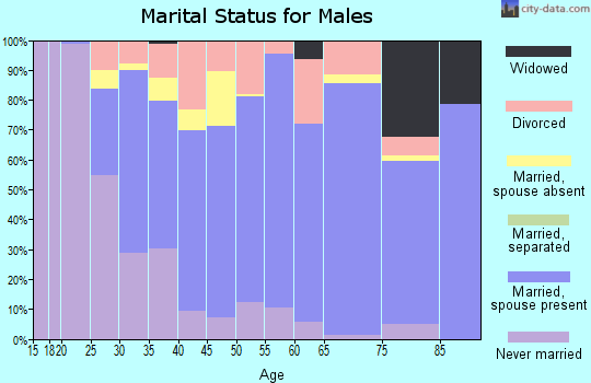 Zip code 72211 marital status for males