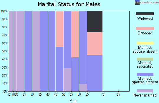 Zip code 72333 marital status for males