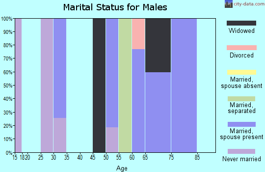 Zip code 72374 marital status for males