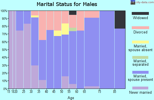 Zip code 72411 marital status for males