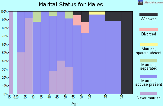 Zip code 72413 marital status for males
