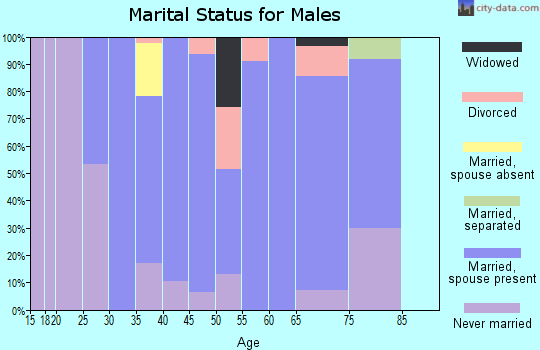 Zip code 72415 marital status for males