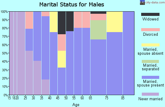Zip code 72419 marital status for males