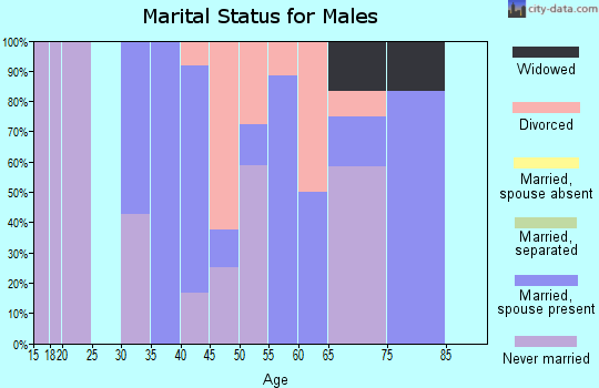 Zip code 72421 marital status for males