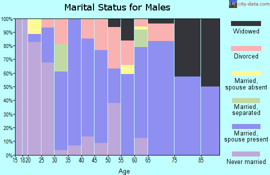 Zip code 72437 marital status for males