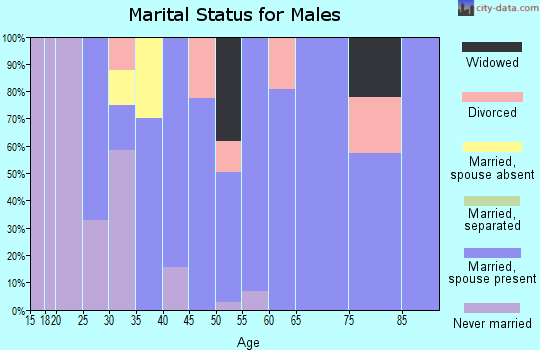 Zip code 72438 marital status for males