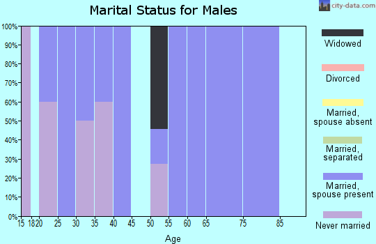 Zip code 72440 marital status for males
