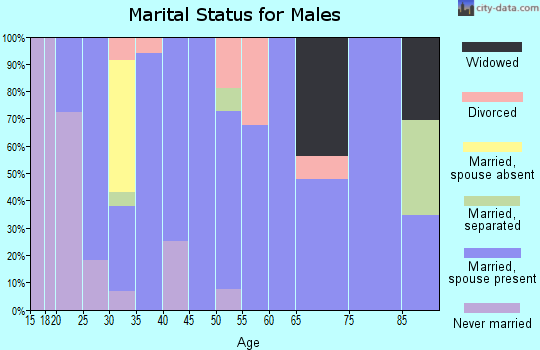 Zip code 72447 marital status for males