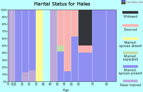 Zip code 72449 marital status for males