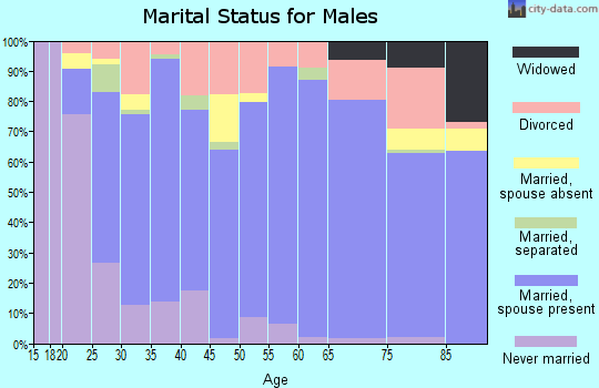 Zip code 72455 marital status for males