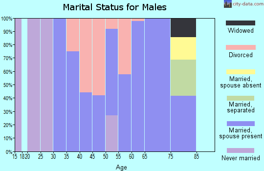 Zip code 72458 marital status for males