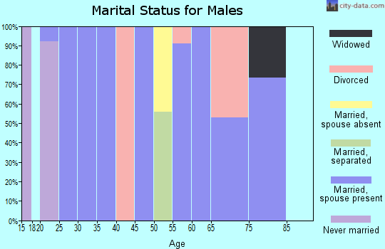 Zip code 72460 marital status for males