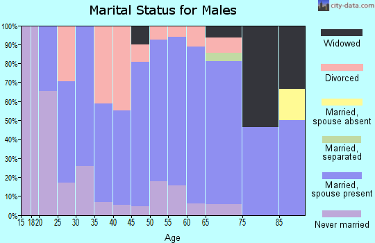 Zip code 72473 marital status for males