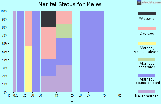 Zip code 72475 marital status for males
