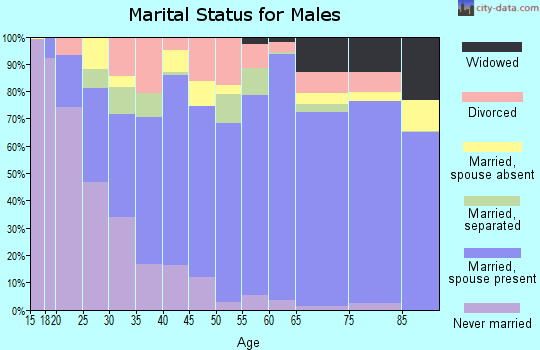 Zip code 72501 marital status for males