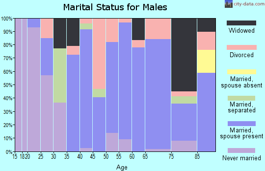 Zip code 72513 marital status for males