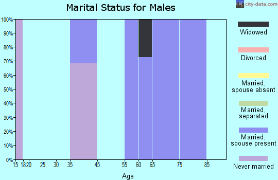 Zip code 72525 marital status for males