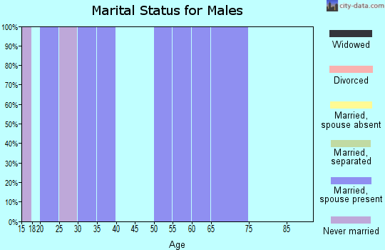 Zip code 72526 marital status for males