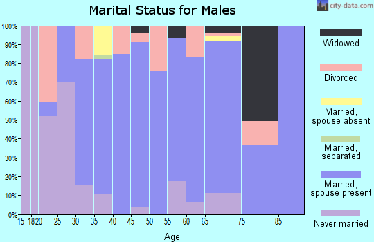 Zip code 72635 marital status for males