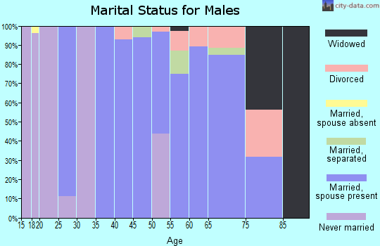 Zip code 72658 marital status for males