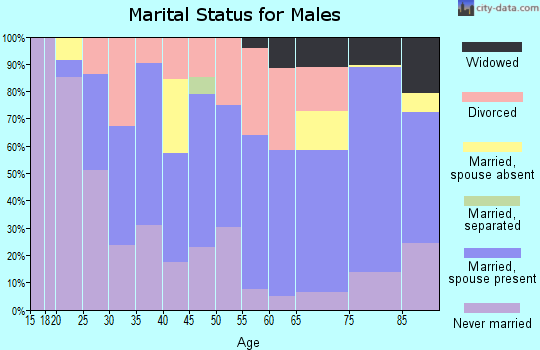Zip code 72801 marital status for males