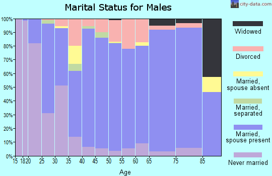 Zip code 72802 marital status for males