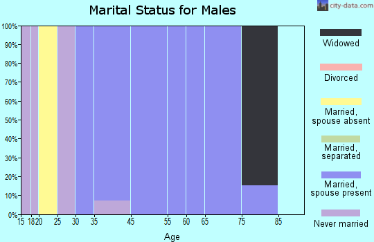 Zip code 72820 marital status for males