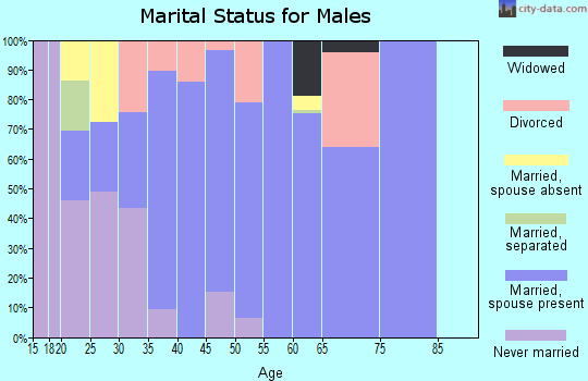 Zip code 72840 marital status for males