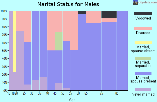 Zip code 72843 marital status for males