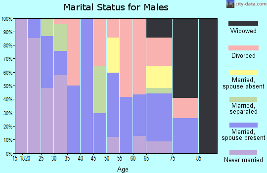 Zip code 72853 marital status for males