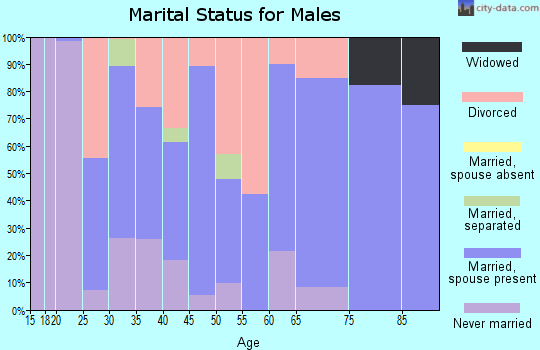 Zip code 72855 marital status for males