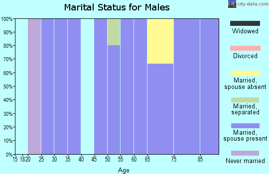 Zip code 72856 marital status for males