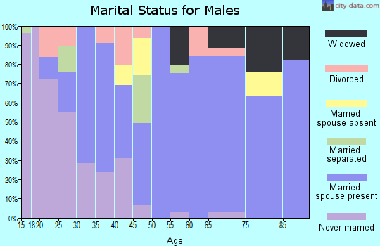 Zip code 72863 marital status for males