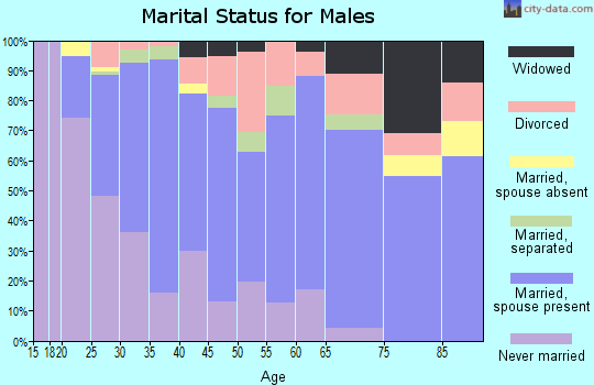 Zip code 72904 marital status for males